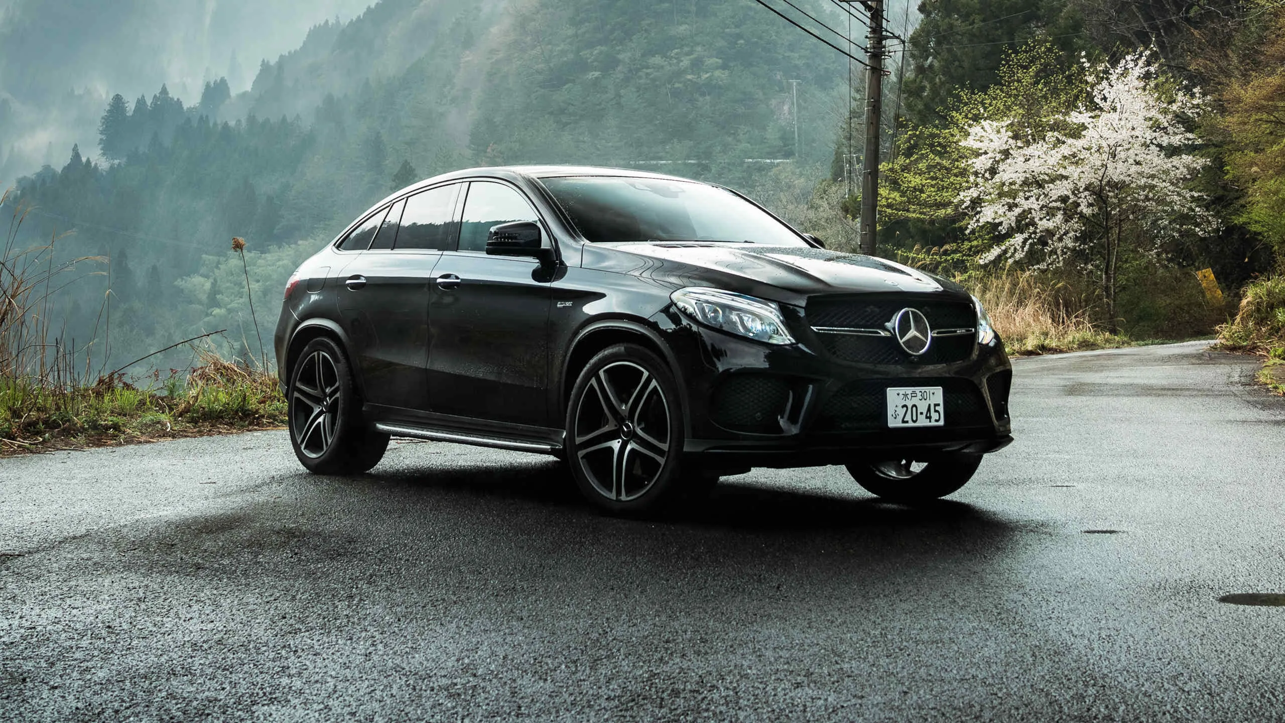 Black Mercedes Benz Car on Wet Road with Trees Wallpaper