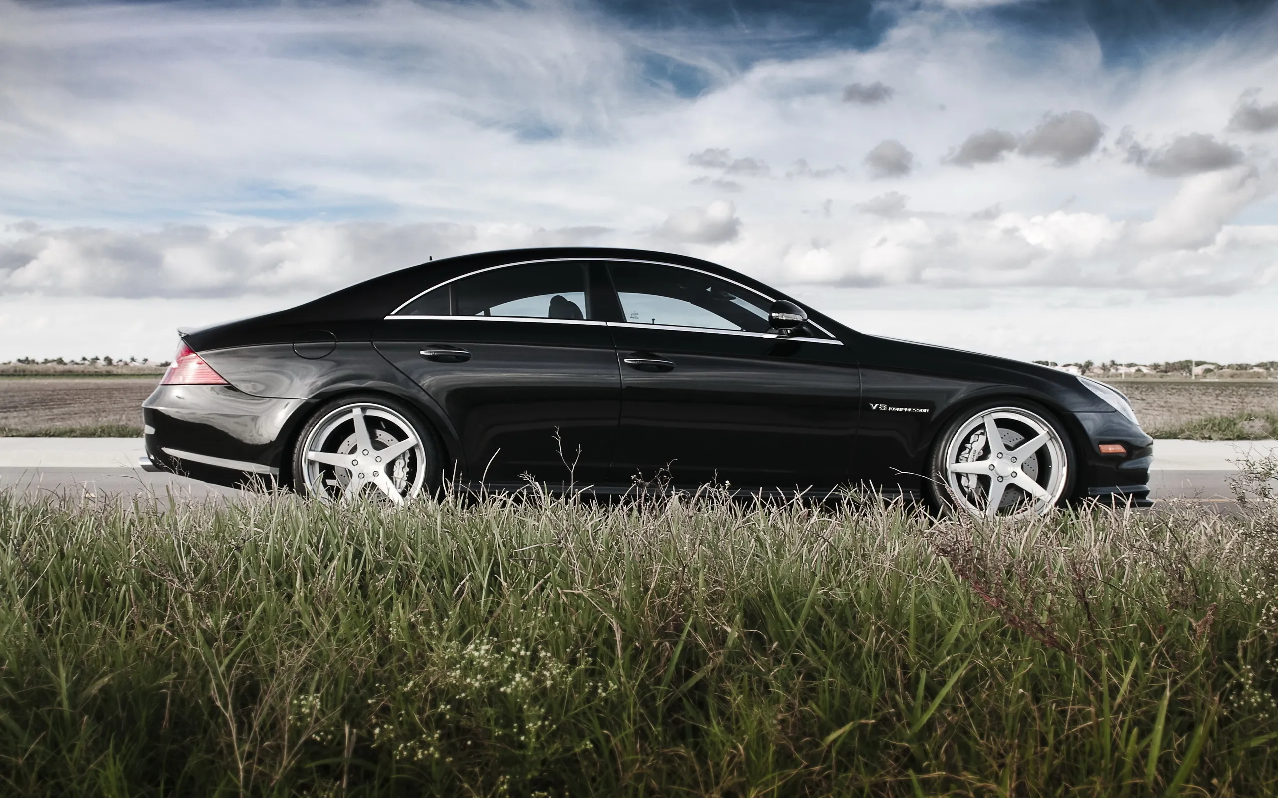 Black Mercedes Benz Coupe Parked in Open Field on Clear Day