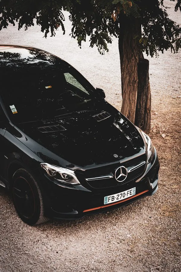 Black Mercedes Benz Parked Under Tree in Outdoor Setting