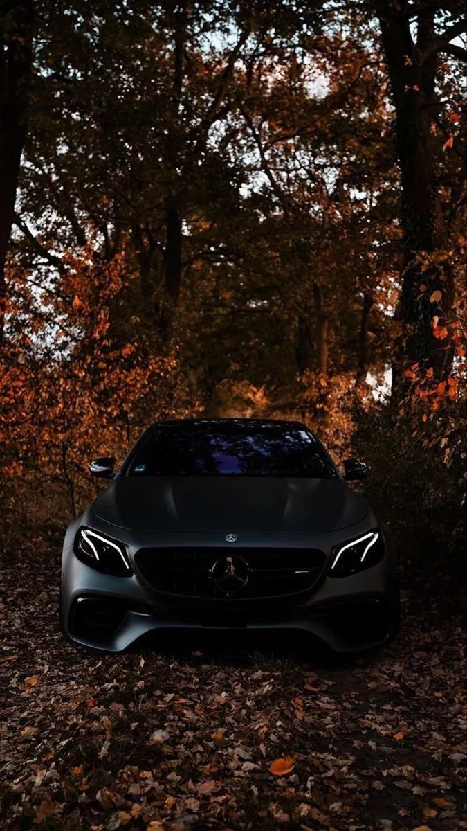 Black Mercedes Hidden in Autumn Forest Landscape Wallpaper