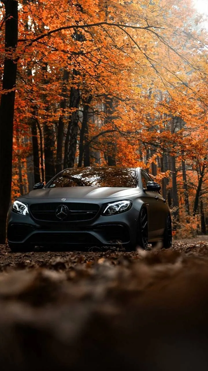 Black Mercedes in Forest with Autumn Leaves free Wallpaper