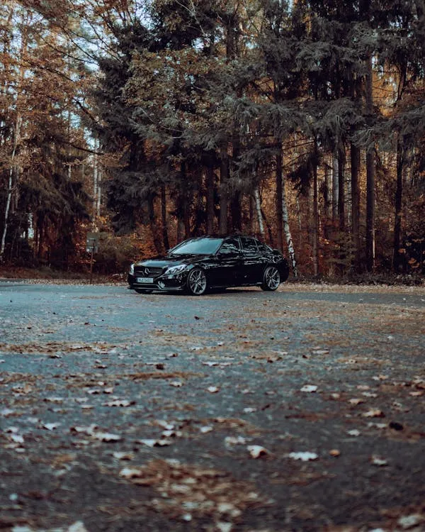 Black Mercedes in Quiet Autumn Forest Parking Wallpaper
