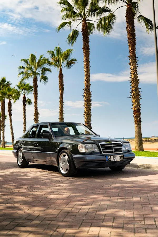 Black Mercedes Parked Along Palm Tree Seaside Street