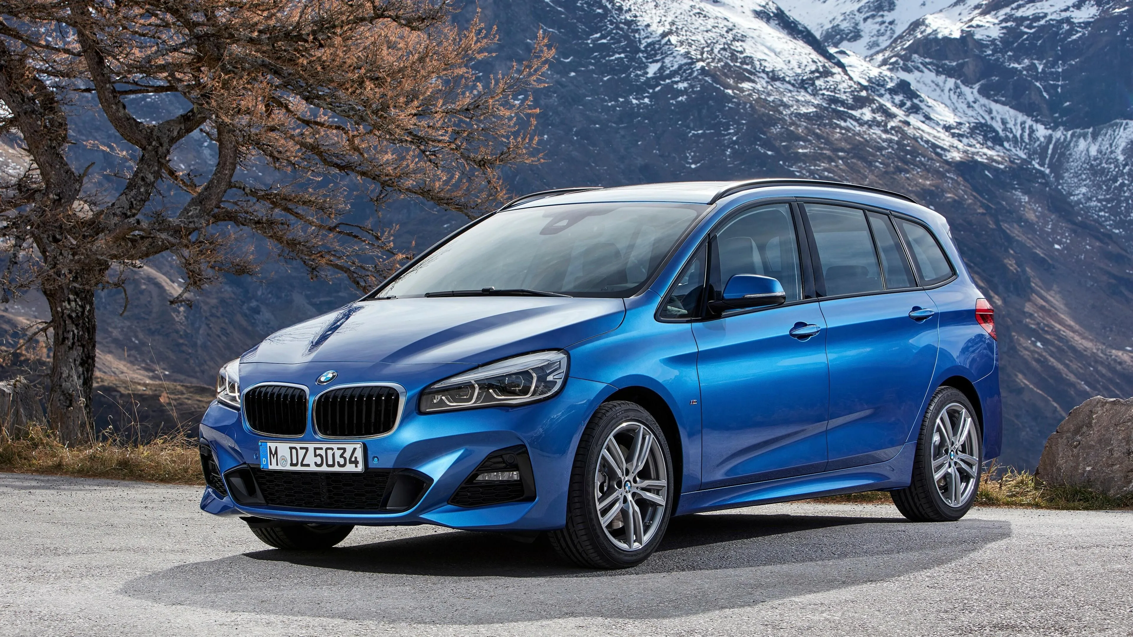 Blue Bmw Family Car Parked in Scenic Mountain Background
