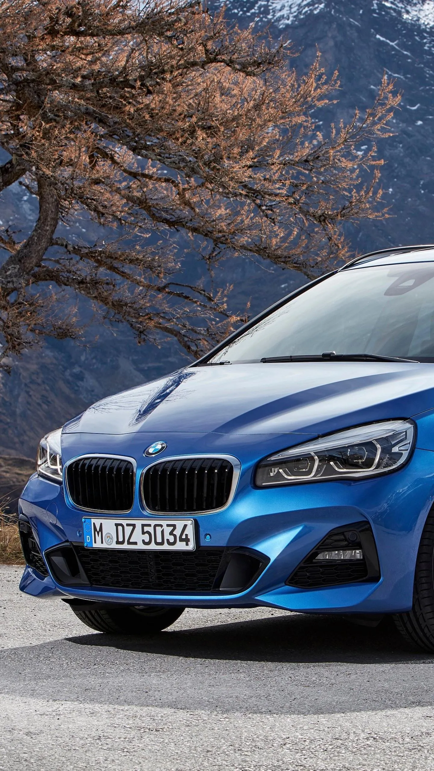 Blue Bmw Parked Near Tree in City Area with Autumn Leaves