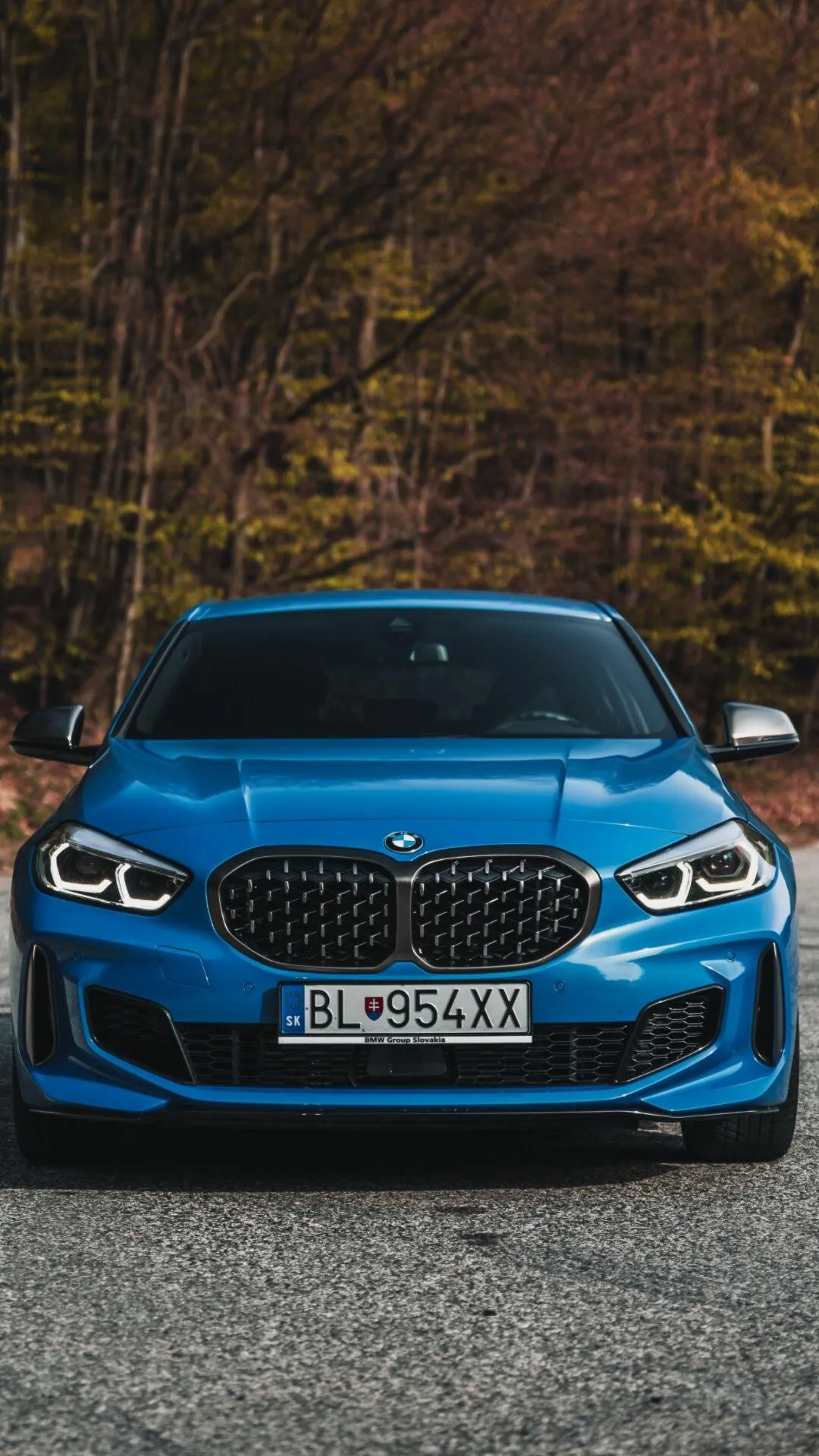 Blue Bmw Parked Outdoors in a Quiet Autumn Forest Area