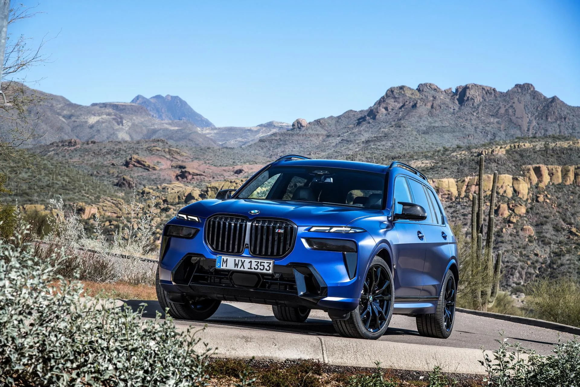 Blue Bmw Suv Driving Through Scenic Mountain Road Image