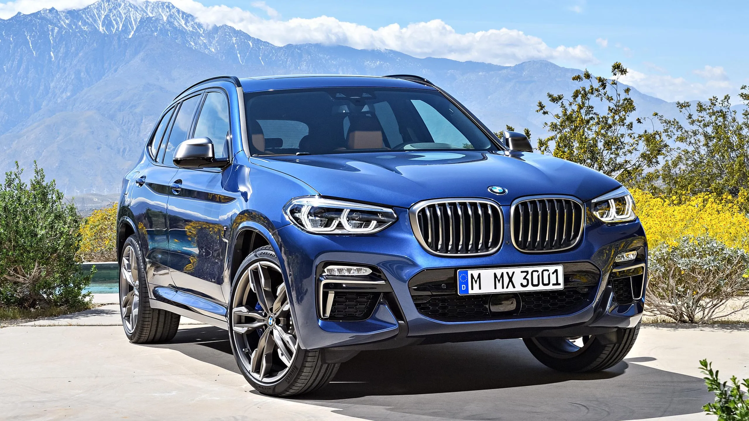 Blue Bmw Suv Parked Near Green Shrubbery Free Hd Image