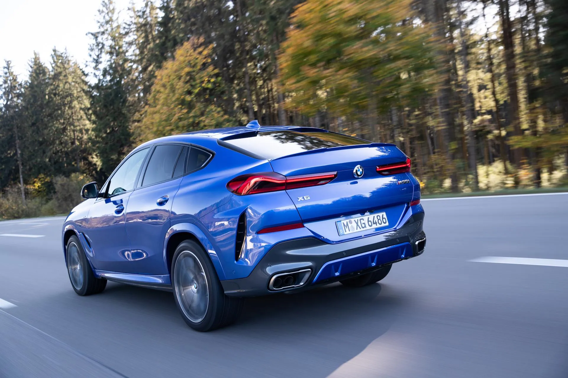 Blue Bmw X Series Driving in Pine Tree Forest Road