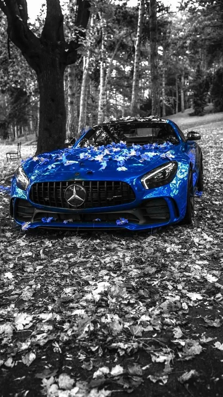 Blue Mercedes AMG in Autumn Forest Black and White Scene