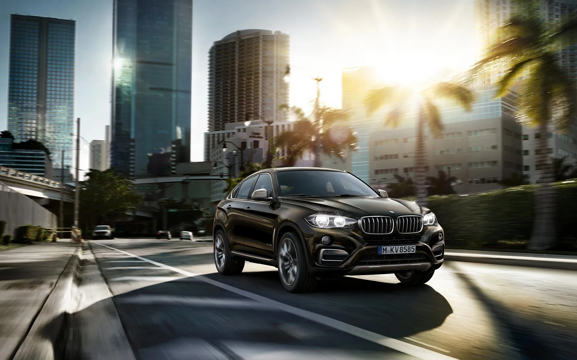 Bmw Black Sedan with Urban Skyline and Sunlit Backdrop