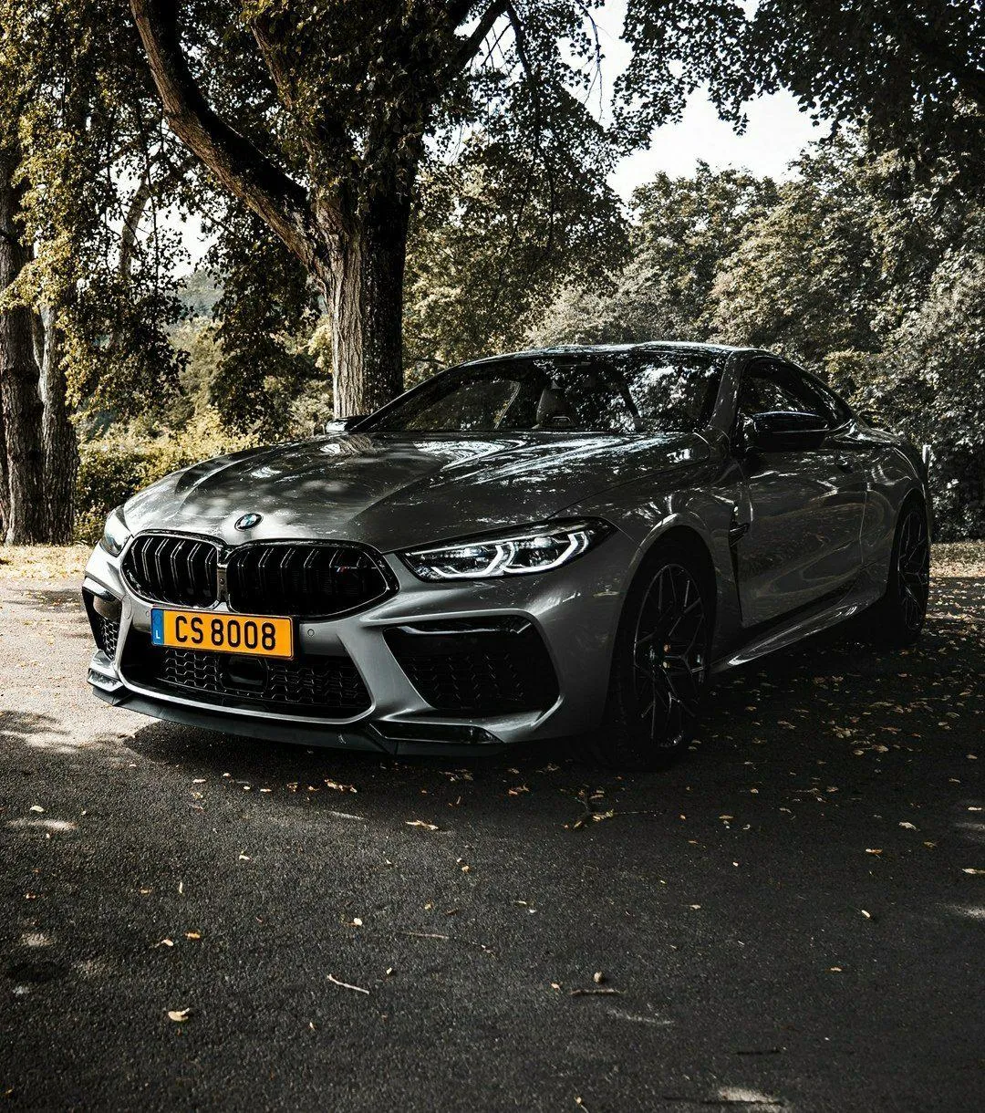 Bmw Car Parked Under a Tree on a Calm Road During Daytime