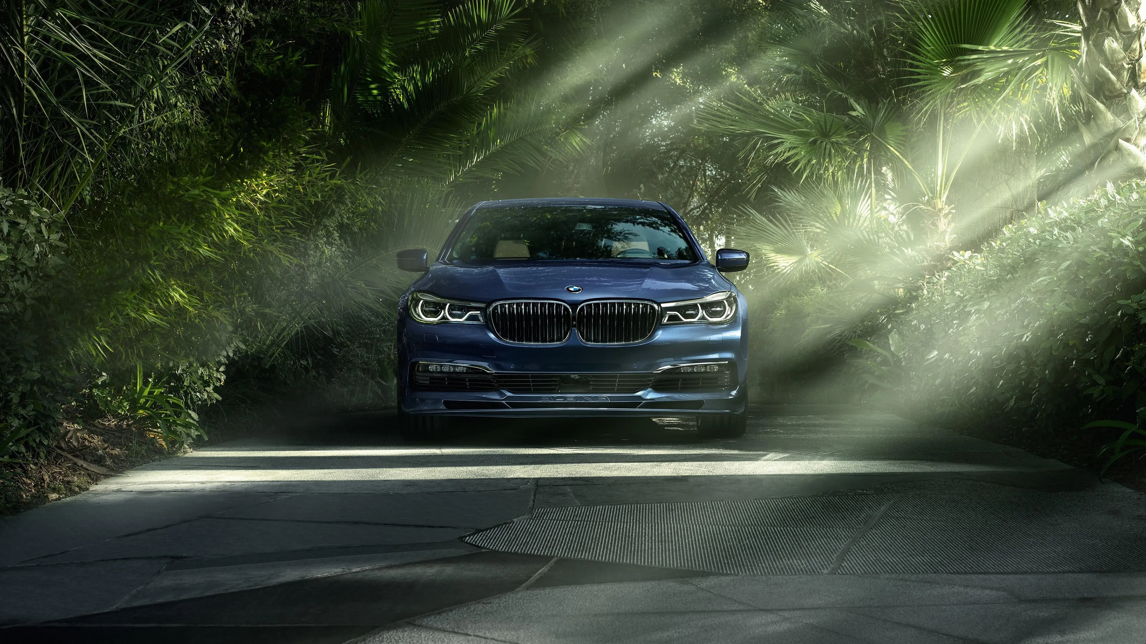 Bmw Driving Through a Forest Road with Sunlight Filtering In