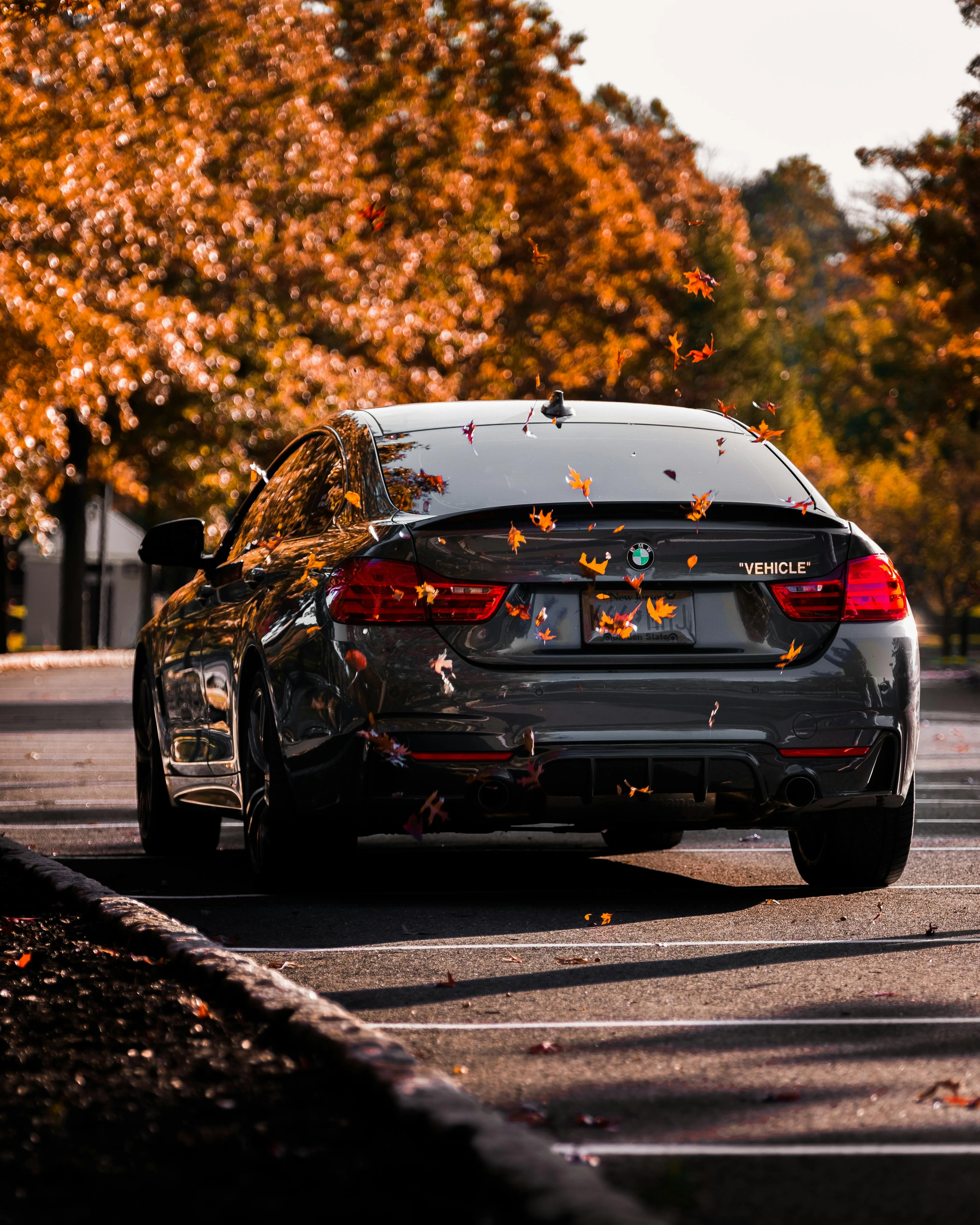 Bmw Driving Through Autumn Trees with Golden Leaves