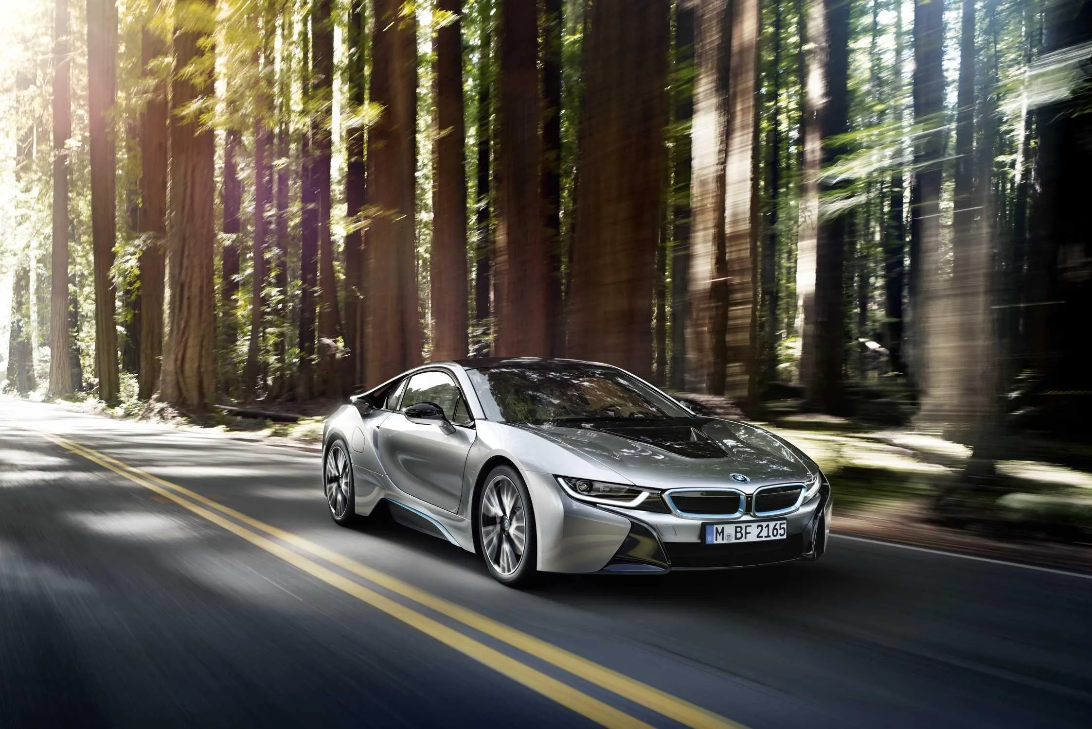 Bmw Driving Through Forest with Rays of Sun Shining Down