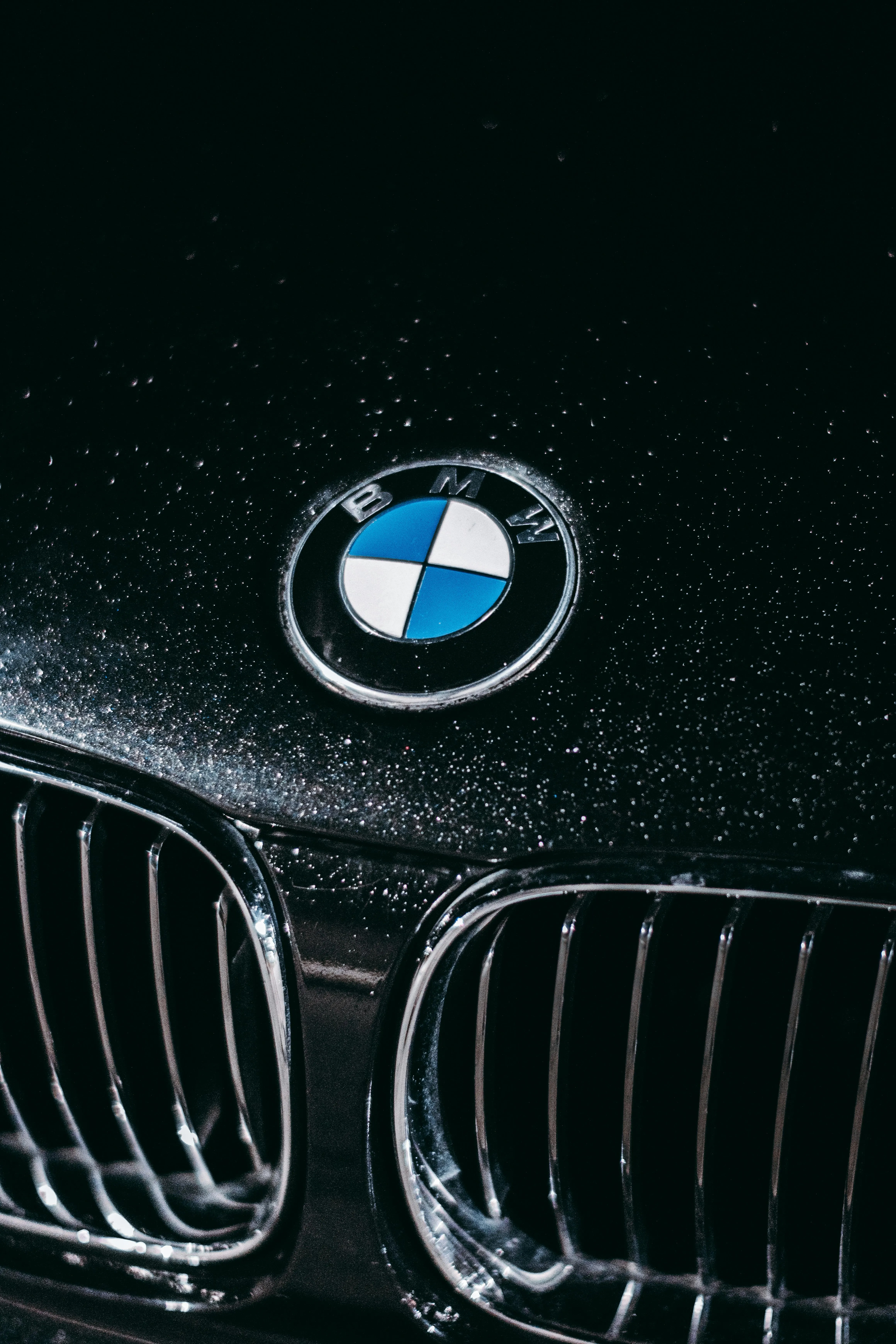 Bmw Front Grille and Emblem Covered with Water Droplets