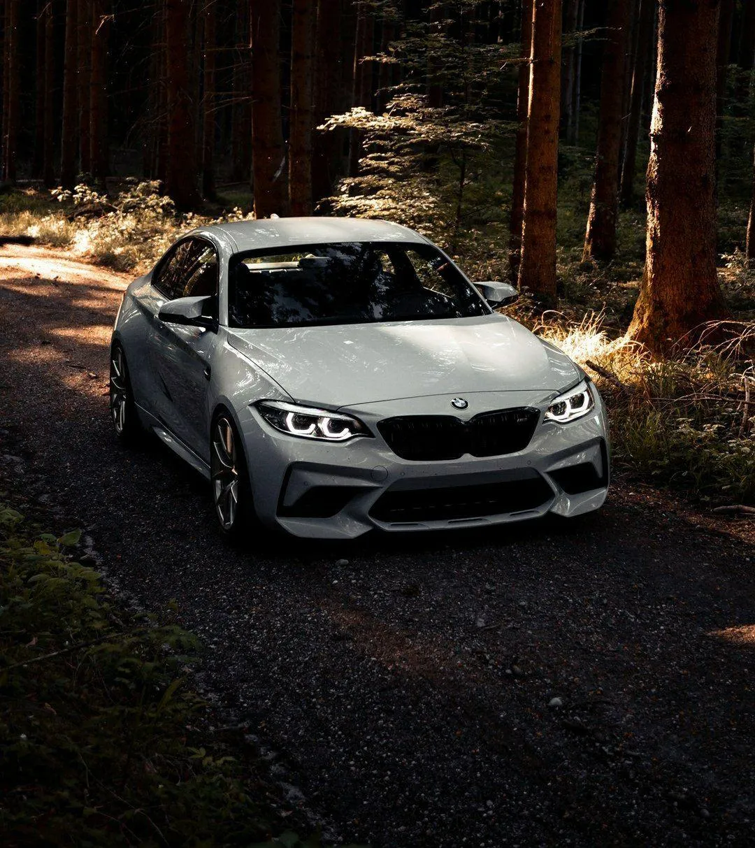 Bmw M Series Car Driving Through a Forest Pathway