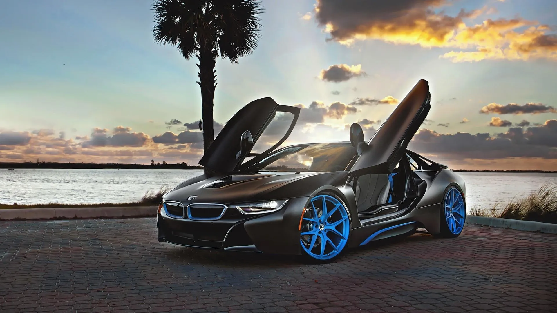 Bmw M4 Race Car Speeding Through the Racetrack with Intense Motion