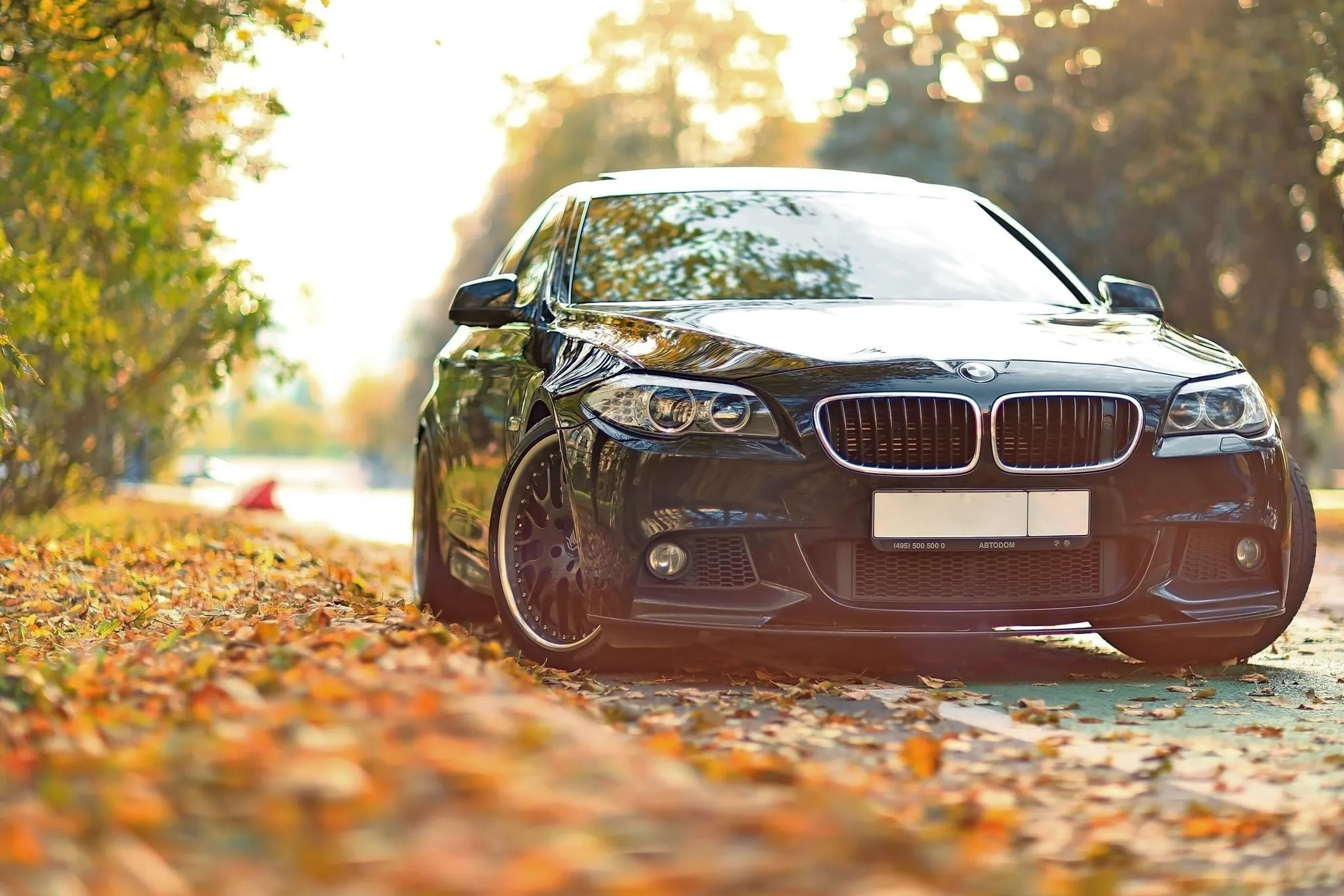 Bmw Parked in Autumn Setting with Colorful Leaves Wallpaper