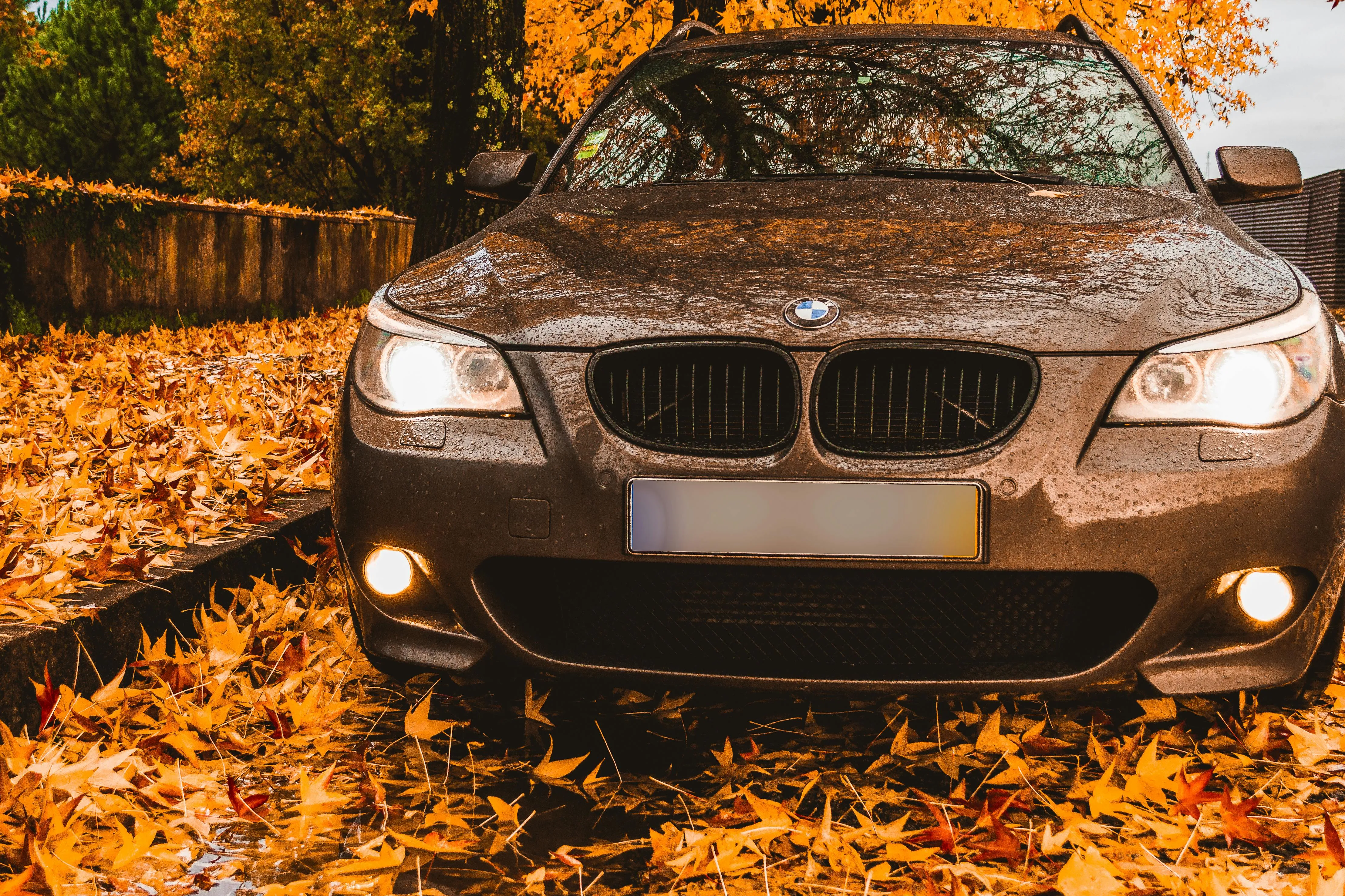 Bmw Parked on a Leaf Covered Road During the Fall Season