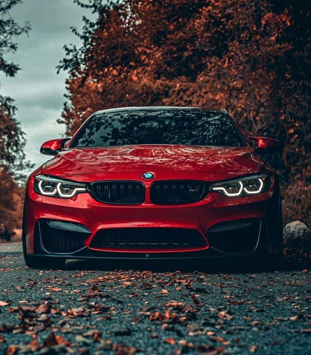Bmw Red Sports Car on a Rocky Road with Bold Front View