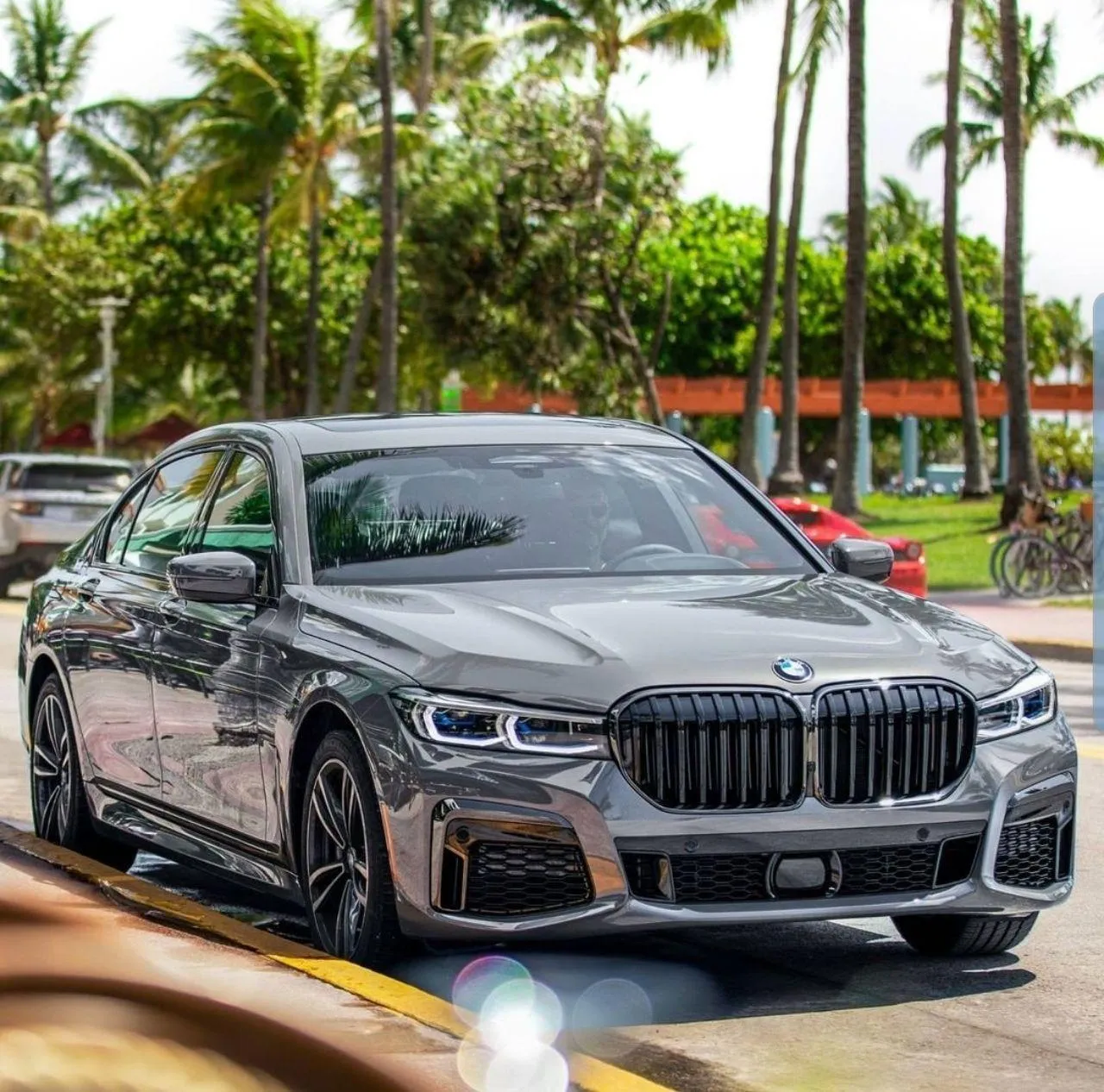 Bmw Sedan Parked By Palm Trees in a Sunny Urban Area