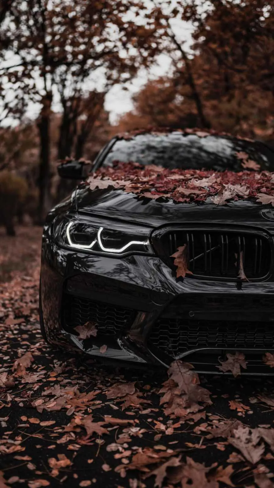 Bmw Sedan Parked on a Road with Autumn Leaves Surrounding
