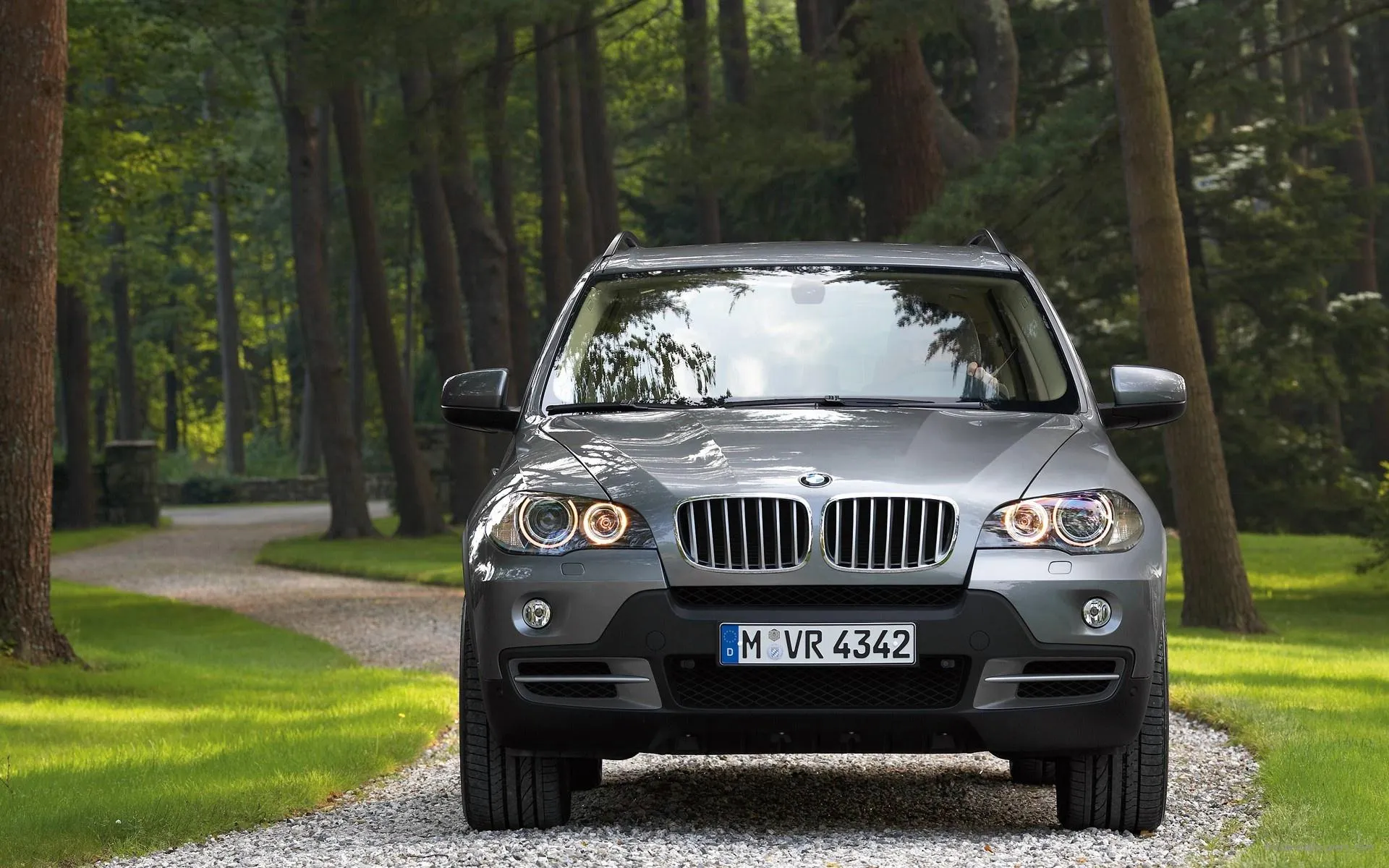 Bmw Silver Suv Parked Among Trees in Forested Area