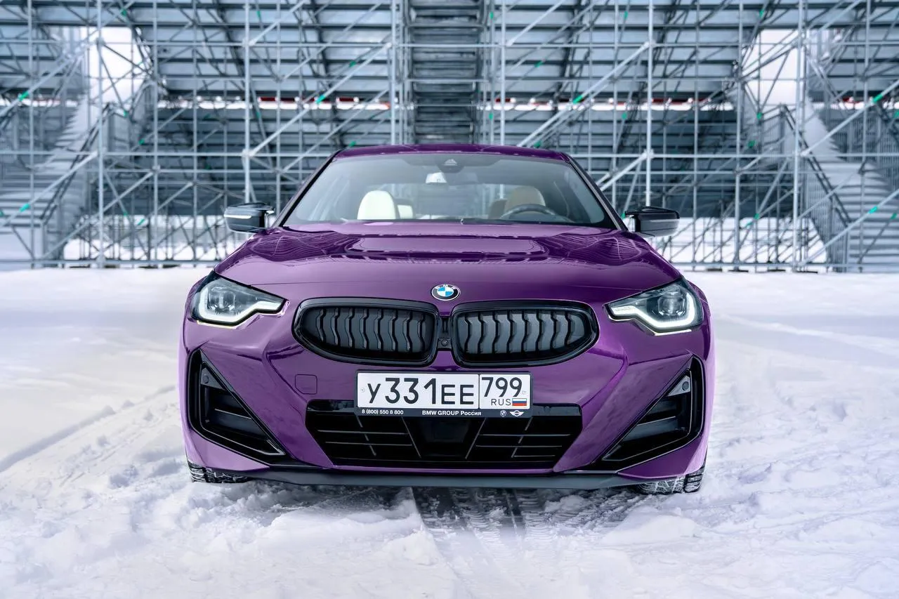 Bmw Sports Car with Purple Exterior Parked on Snowy Road