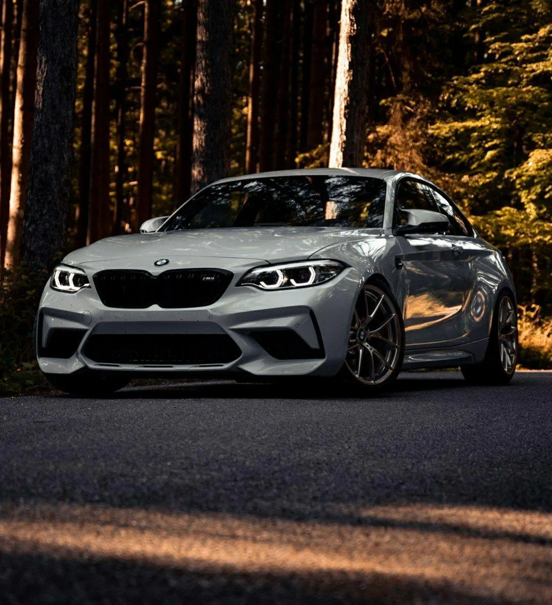 Bmw Sports Coupe Parked in Autumn Forest Environment