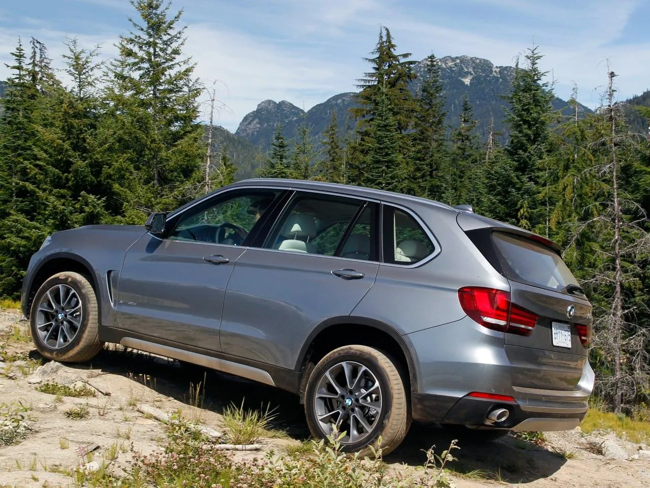 Bmw Suv Parked in a Scenic Forested Mountain Landscape