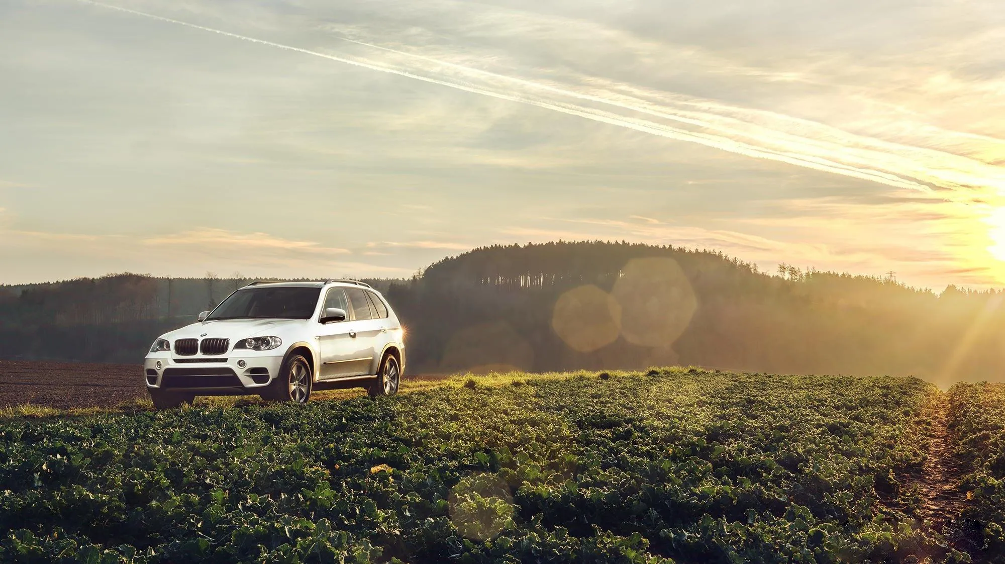 Bmw Suv Parked on Grassy Hill with Golden Hour Lighting