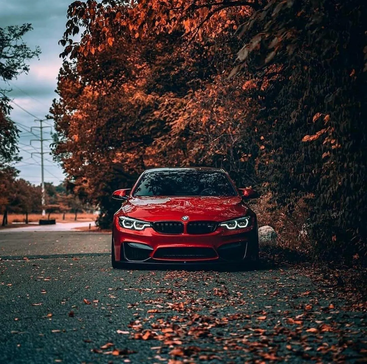 Bold Red Bmw Parked Among Autumn Trees on Leafy Street