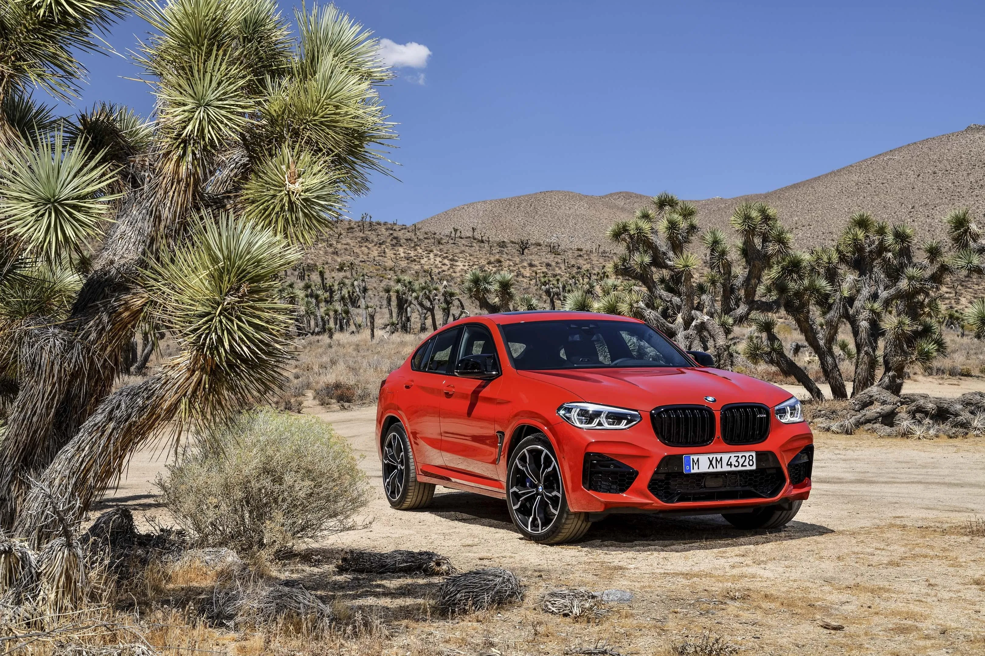 Bright Red Bmw Suv Parked Near Desert Trees in Sunlight