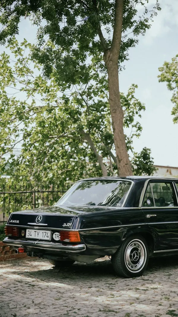 Classic Black Mercedes Benz Parked Under Tree Shade