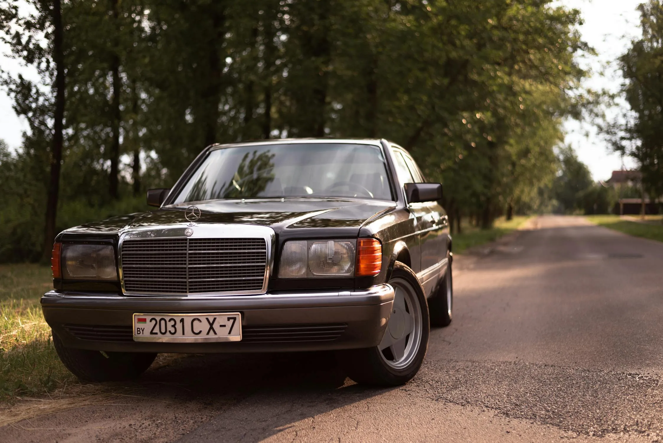 Classic Black Mercedes Sedan Parked by Trees Wallpaper
