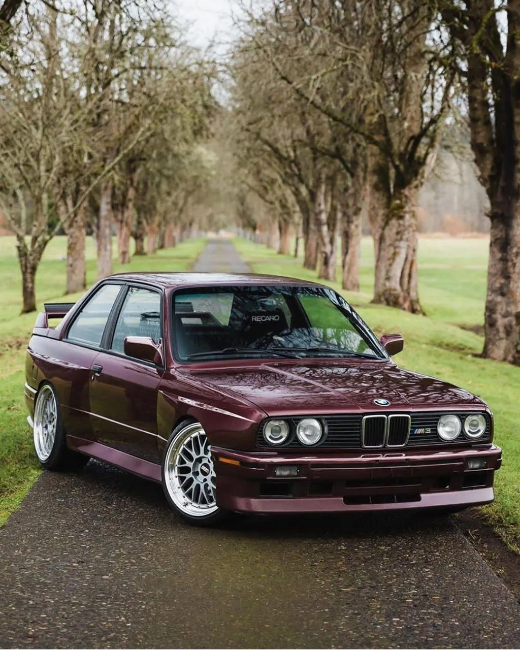 Classic Bmw Parked on Grass Surrounded By Tall Trees