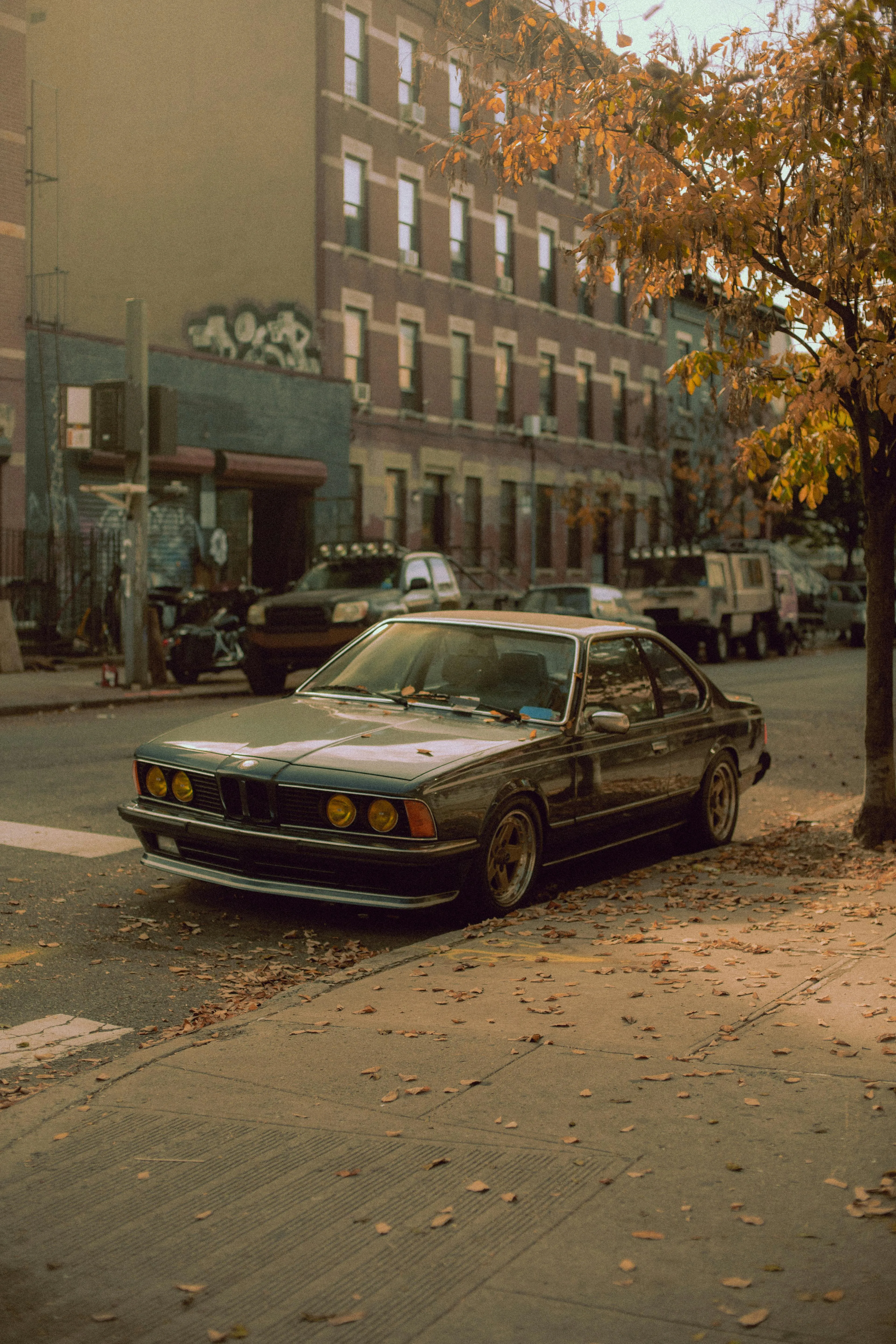Classic Bmw Parked on Street During a Sunny Autumn Afternoon