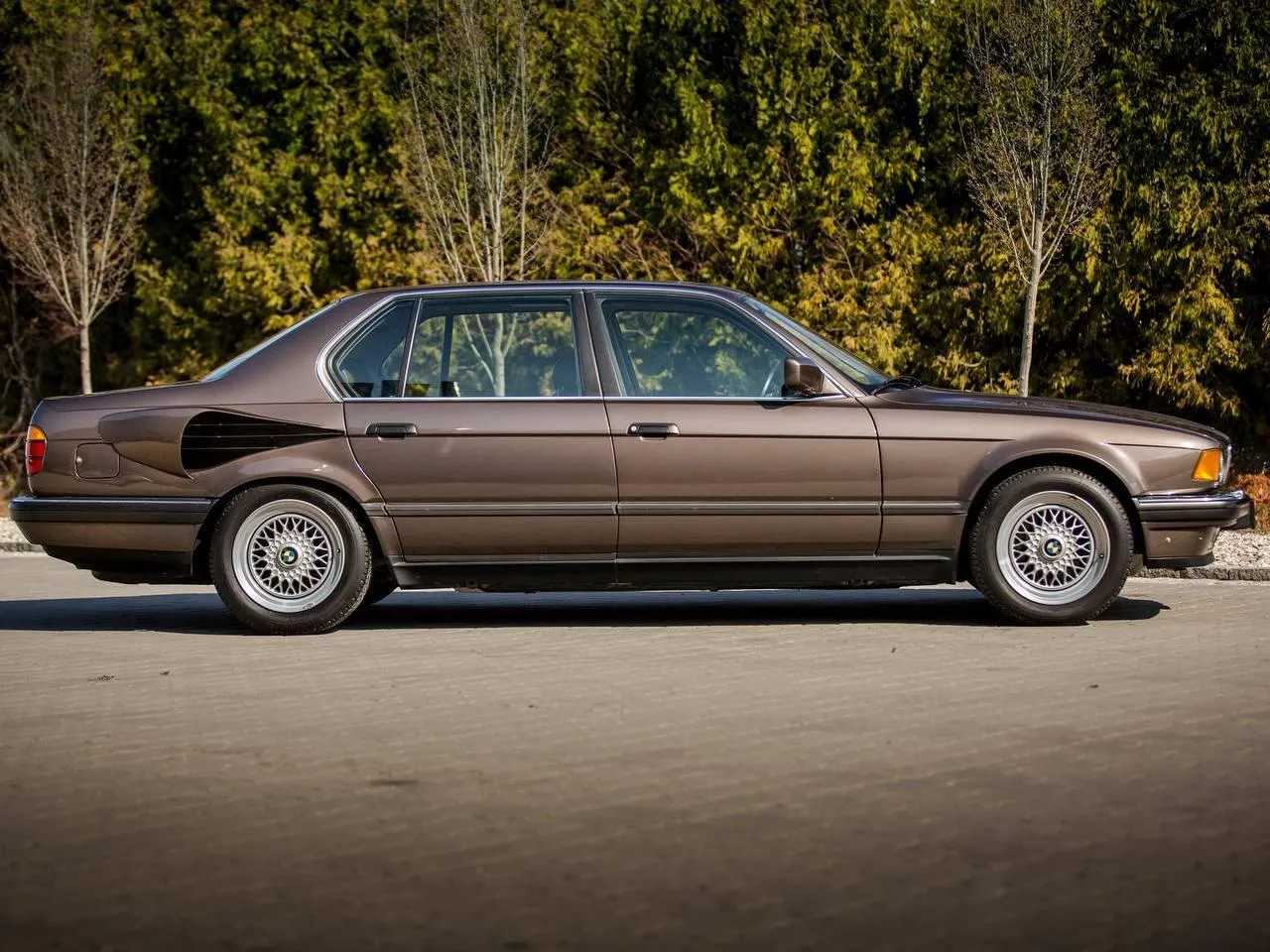 Classic Brown Bmw Sedan Parked in Open Nature Area Image