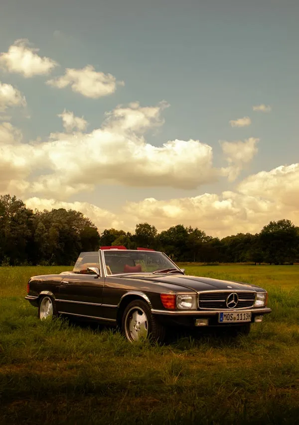 Classic Mercedes car on grassy field under cloudy sky