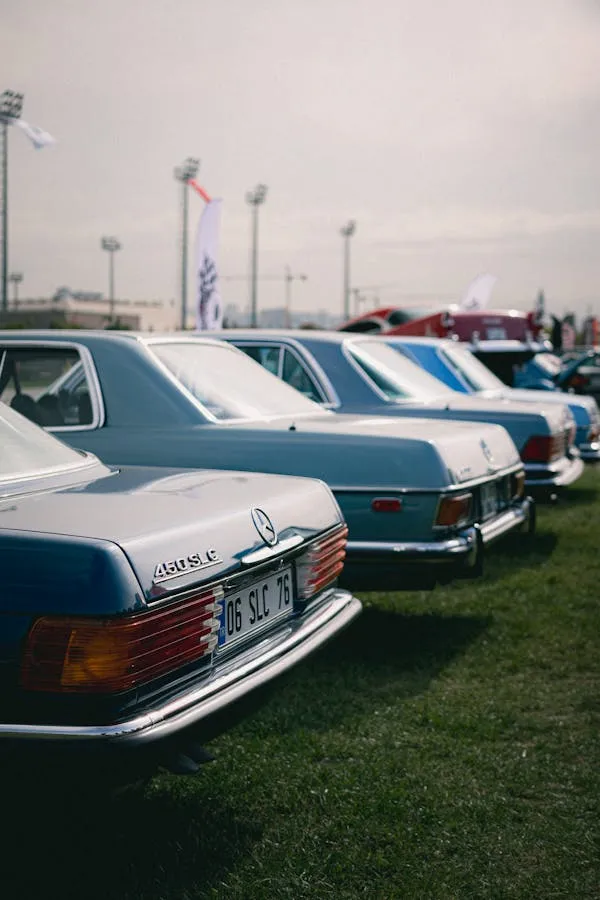 Classic Mercedes cars lined up on a green field Wallpaper