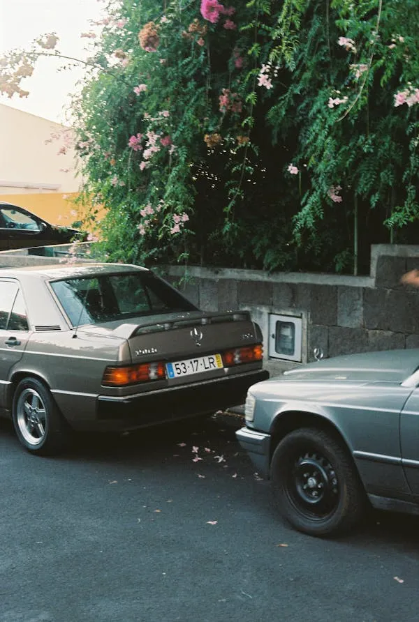 Classic Mercedes cars parked beside lush garden area