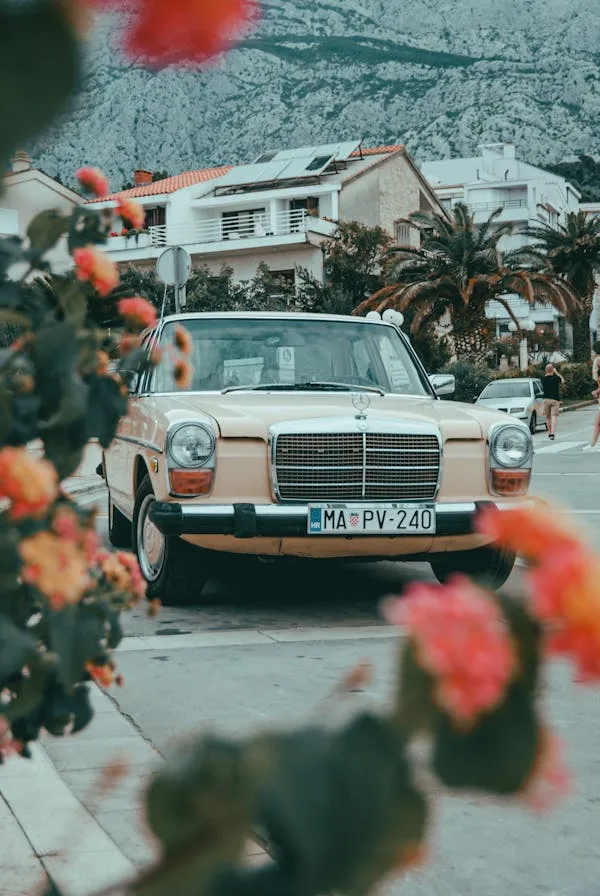 Classic Mercedes on street framed by colorful flowers