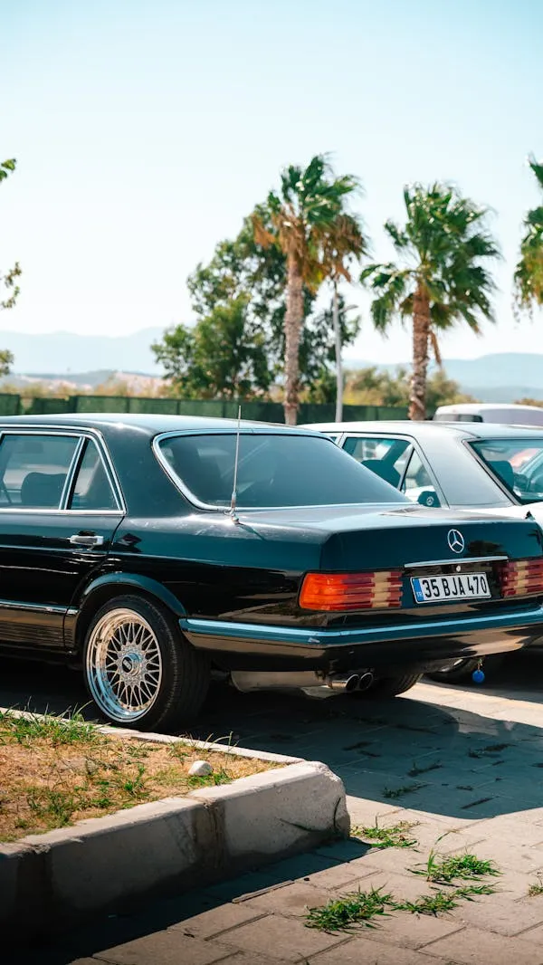 Classic Mercedes Parked by Palm Trees in Open Lot image