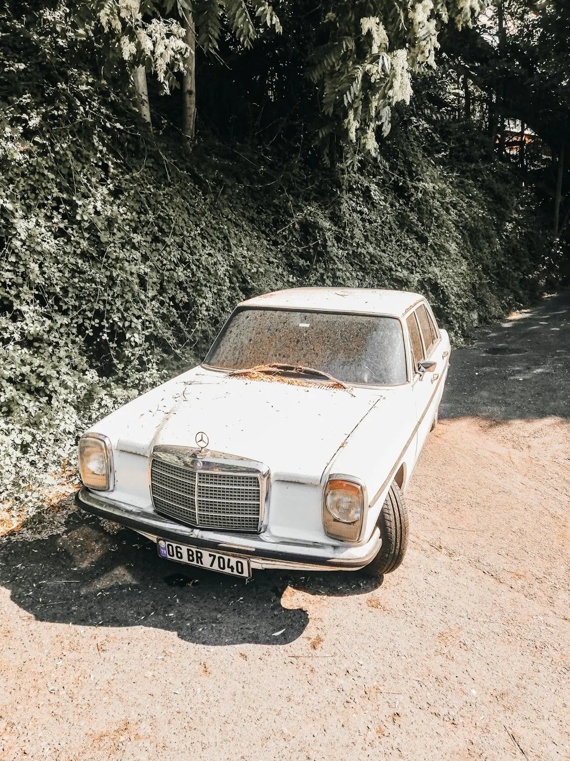 Classic Mercedes Vintage Car Parked In Nature Wallpaper
