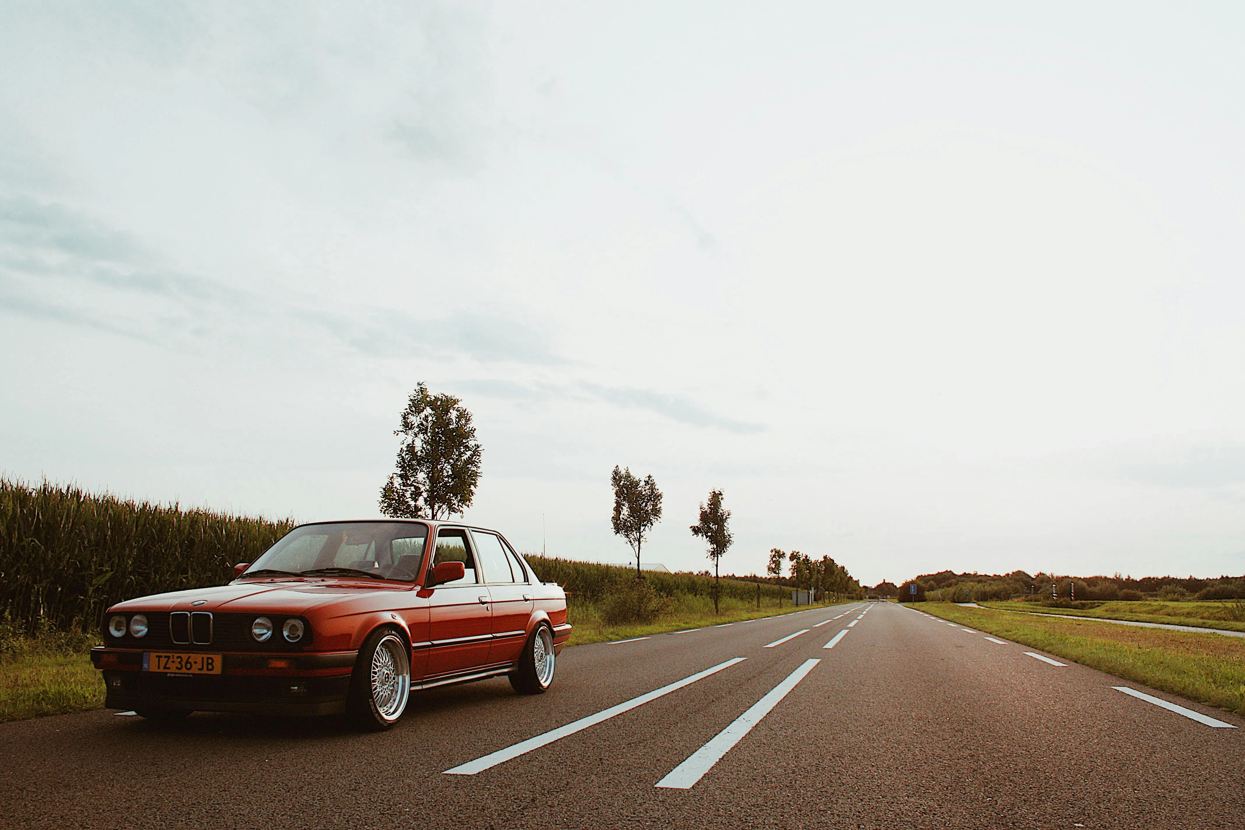 Classic Red Bmw Driving on Road Lined with Trees and Grass