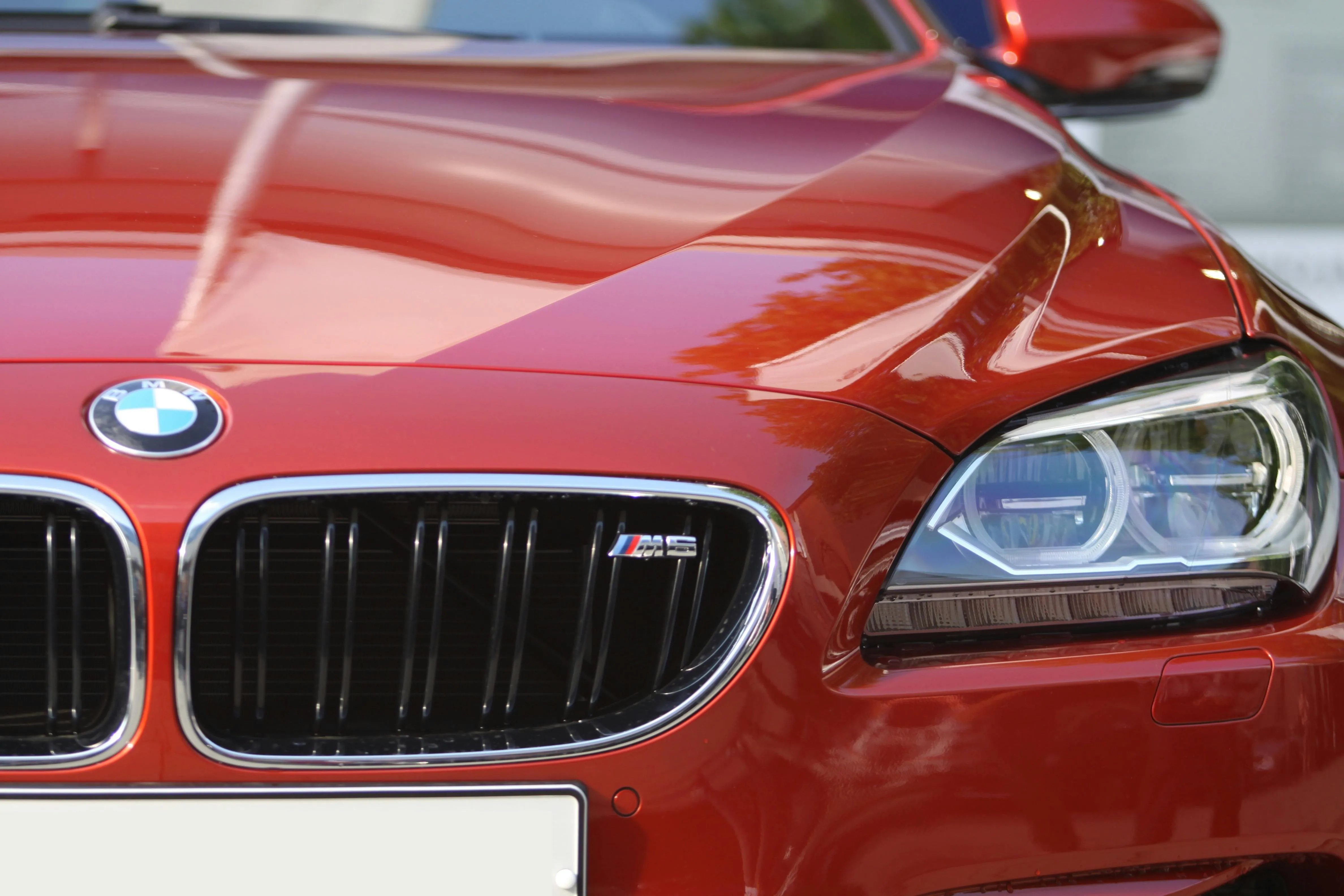 Closeup of Red Bmw Grille and Headlight in Natural Light