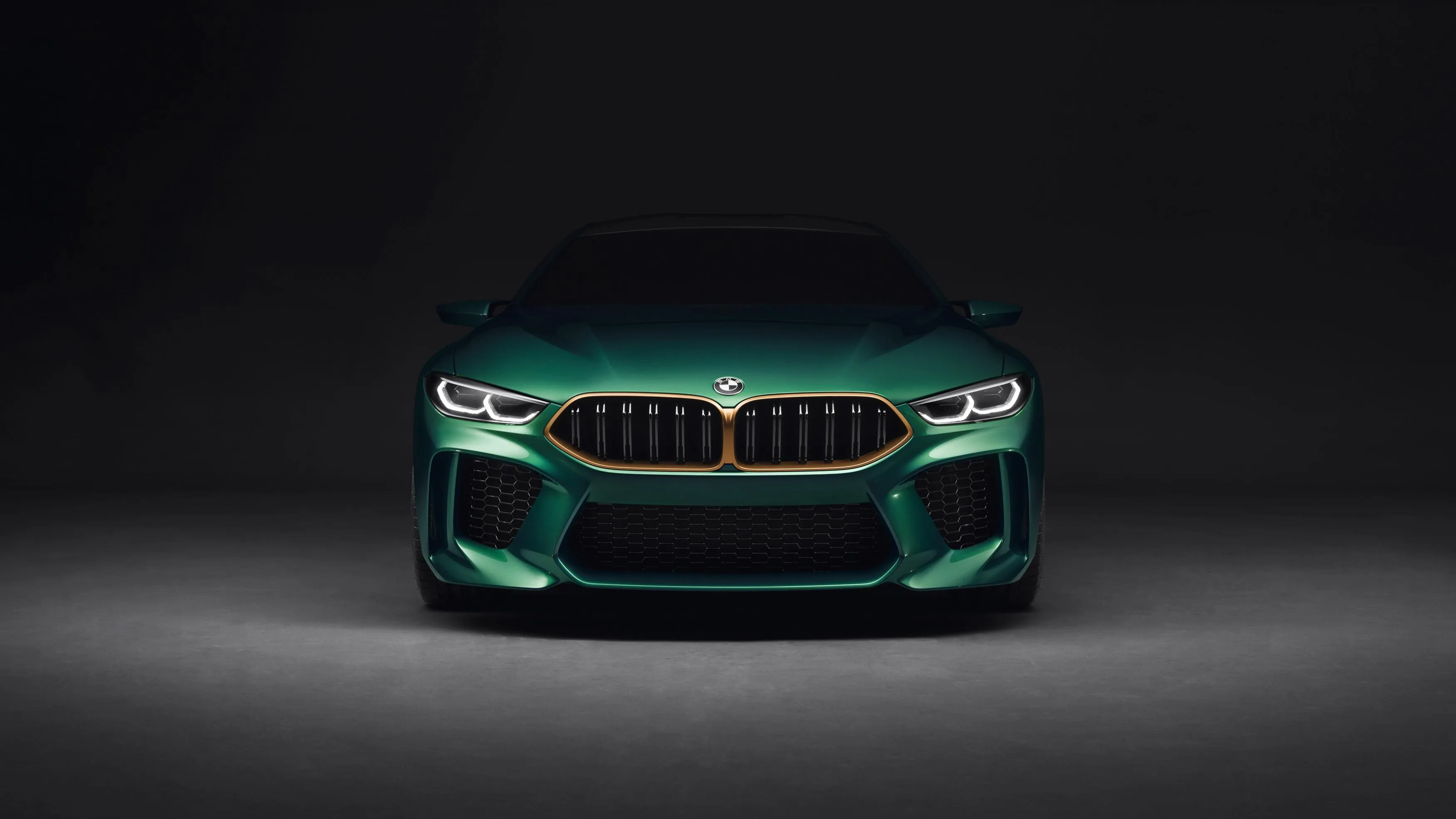 Dark Green Bmw in a Studio with Minimal Lighting