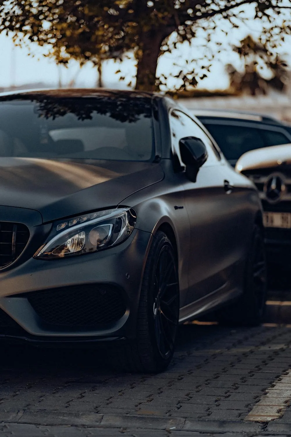 Dark Mercedes Coupe Parked with Autumn Trees Nearby