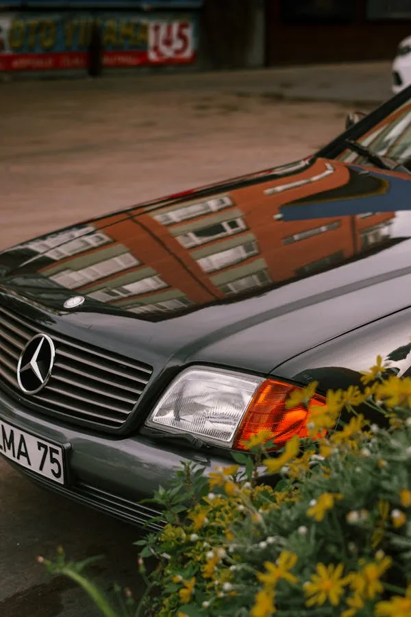 Elegant Mercedes Benz Car Parked Among Green Foliage